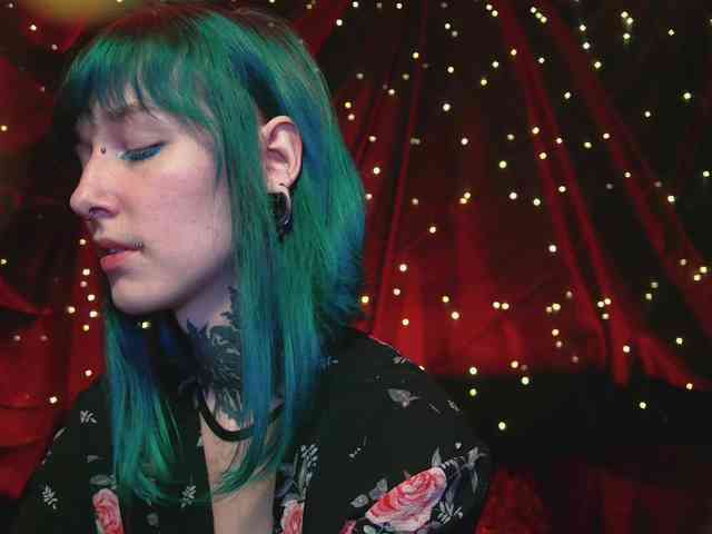 LittleSpaceMouse- webcam