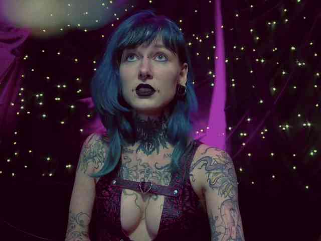 LittleSpaceMouse- webcam