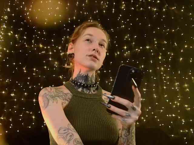 LittleSpaceMouse- webcam