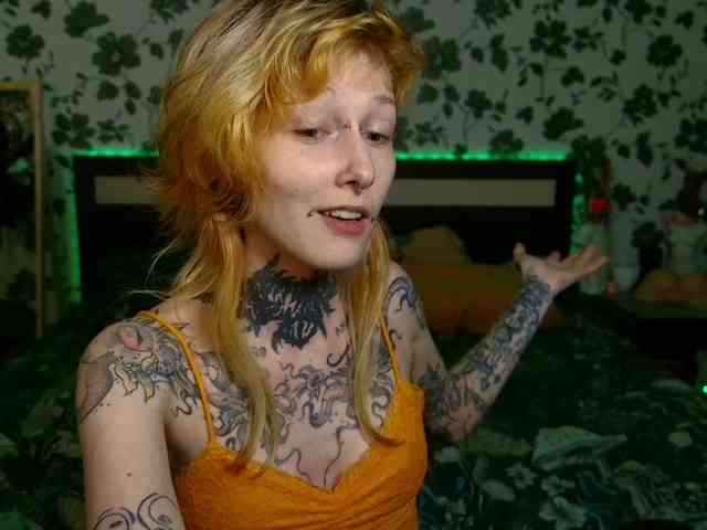 LittleSpaceMouse- webcam