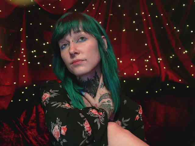 LittleSpaceMouse- webcam