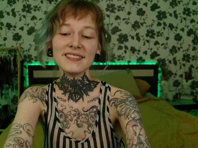 LittleSpaceMouse- webcam