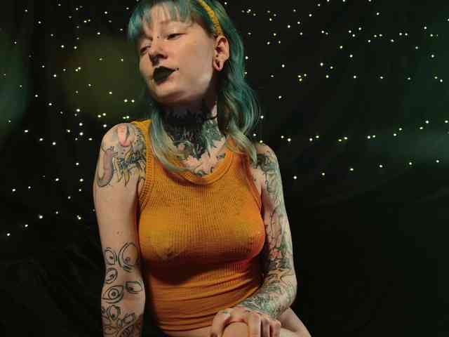 LittleSpaceMouse- webcam