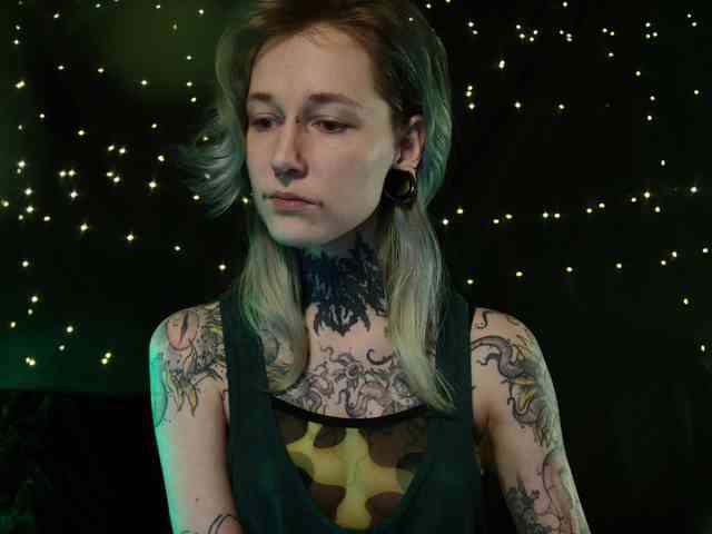 LittleSpaceMouse- webcam