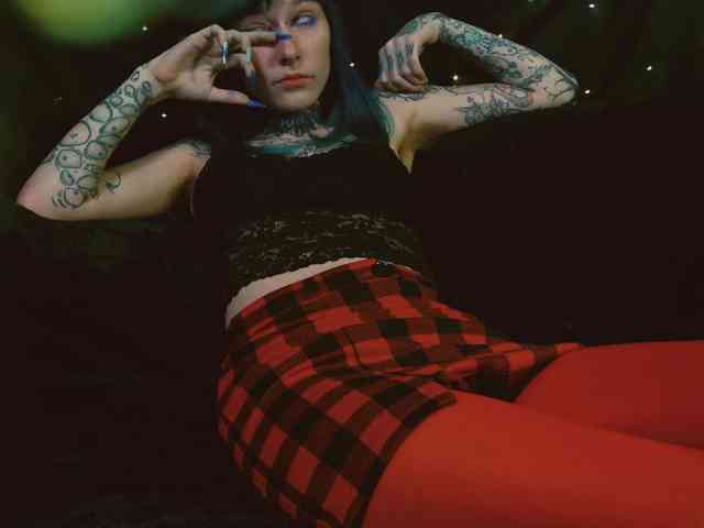 LittleSpaceMouse- webcam