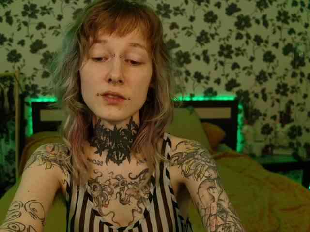 LittleSpaceMouse- webcam