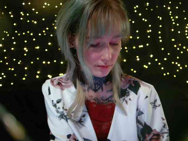 LittleSpaceMouse- webcam