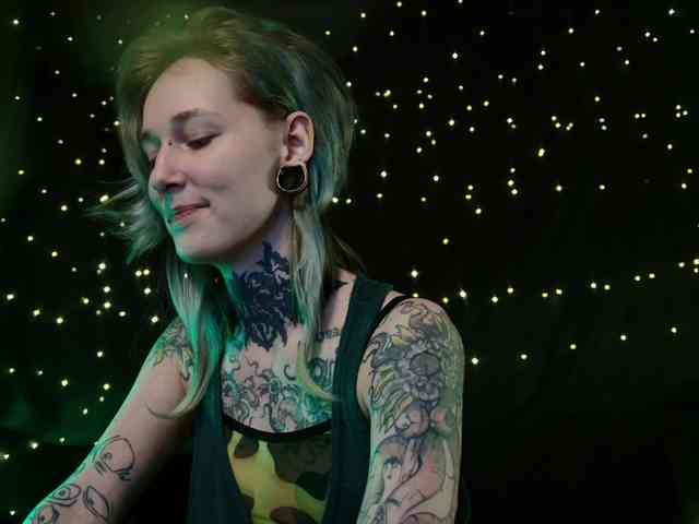 LittleSpaceMouse- webcam