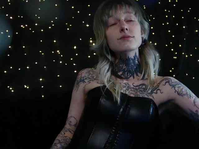 LittleSpaceMouse- webcam