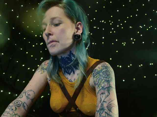 LittleSpaceMouse- webcam