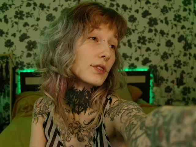 LittleSpaceMouse- webcam
