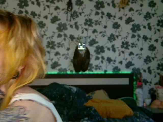 LittleSpaceMouse- webcam
