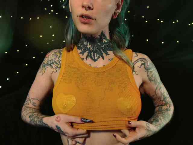 LittleSpaceMouse- webcam