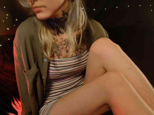 LittleSpaceMouse- webcam