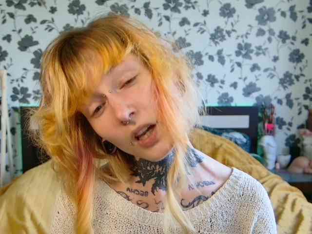 LittleSpaceMouse- webcam