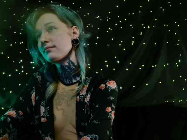 LittleSpaceMouse- webcam