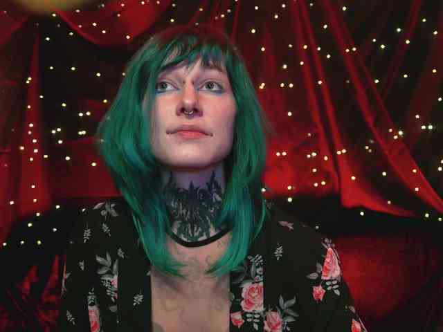 LittleSpaceMouse- webcam