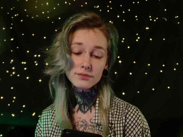 LittleSpaceMouse- webcam