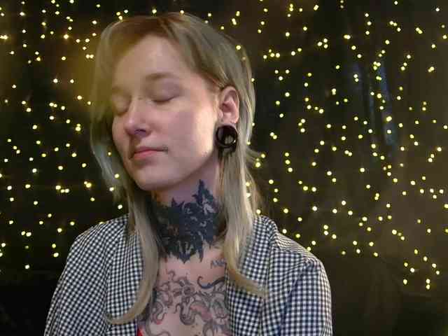 LittleSpaceMouse- webcam