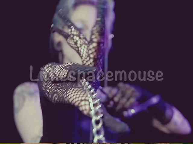 LittleSpaceMouse- webcam