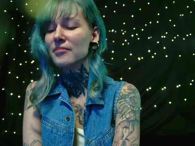 LittleSpaceMouse- webcam