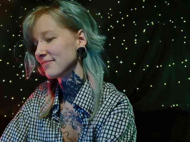 LittleSpaceMouse- webcam