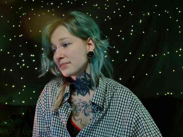 LittleSpaceMouse- webcam