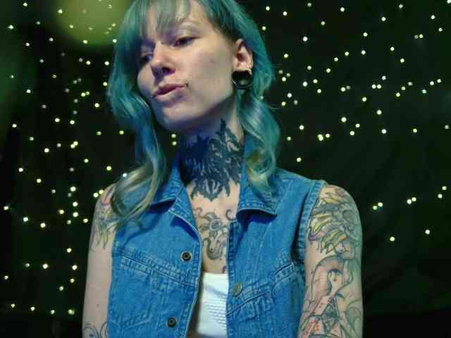 LittleSpaceMouse- webcam