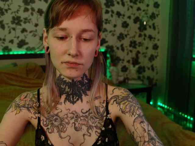 LittleSpaceMouse- webcam