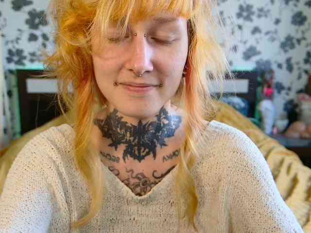 LittleSpaceMouse- webcam