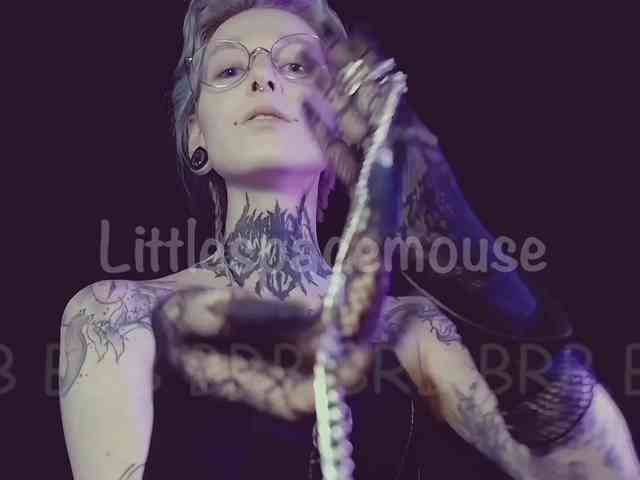 LittleSpaceMouse- webcam