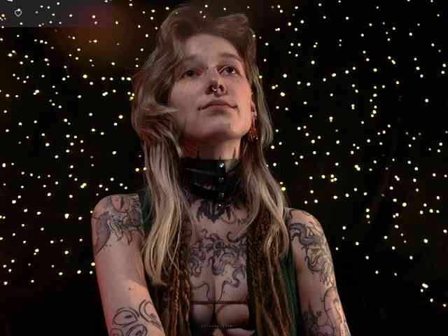 LittleSpaceMouse- webcam