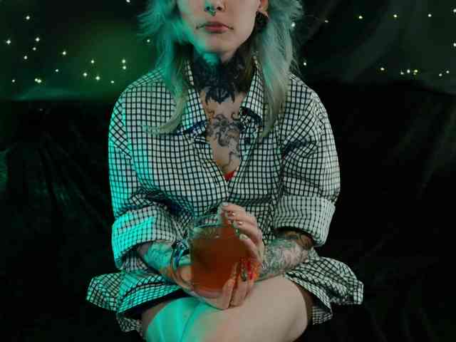 LittleSpaceMouse- webcam