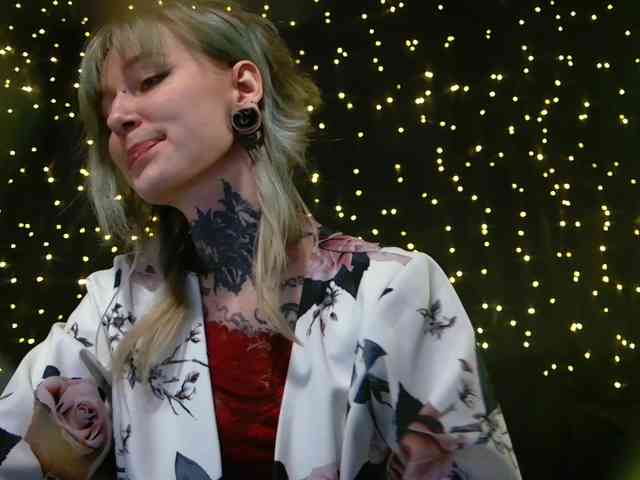 LittleSpaceMouse- webcam