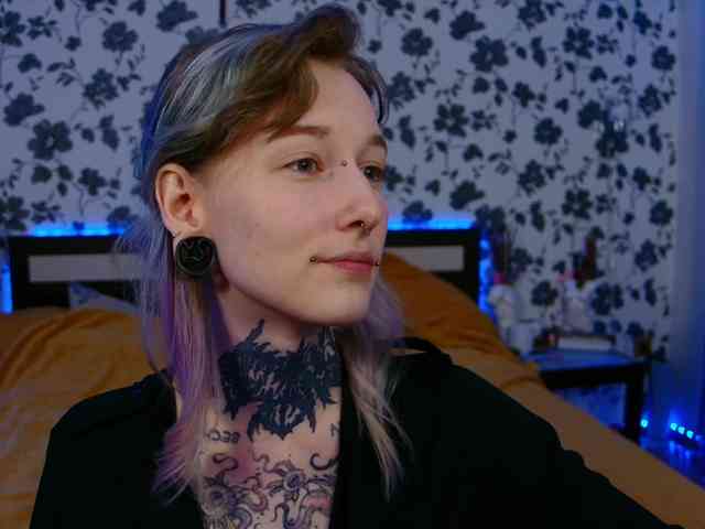 LittleSpaceMouse- webcam