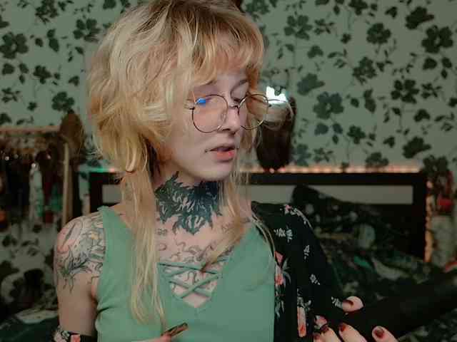LittleSpaceMouse- webcam