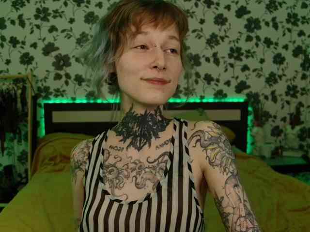 LittleSpaceMouse- webcam