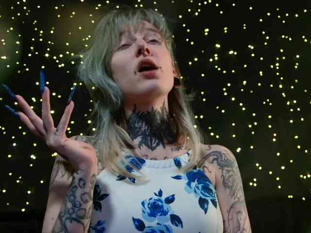 LittleSpaceMouse- webcam