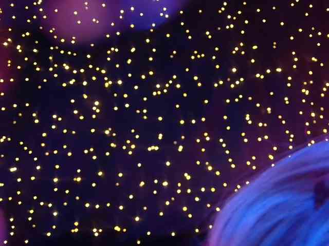 LittleSpaceMouse- webcam