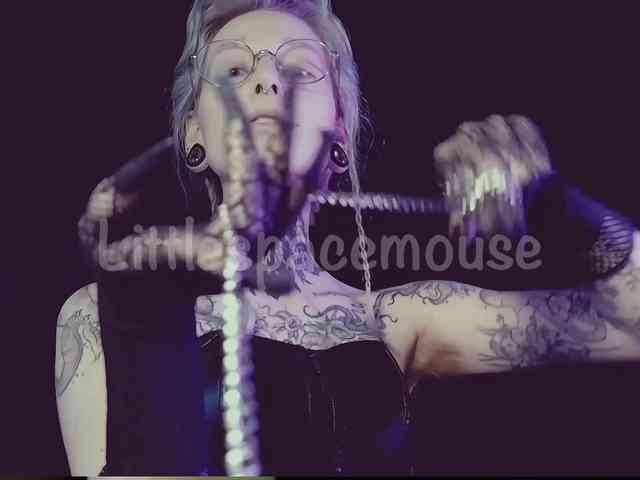 LittleSpaceMouse- webcam