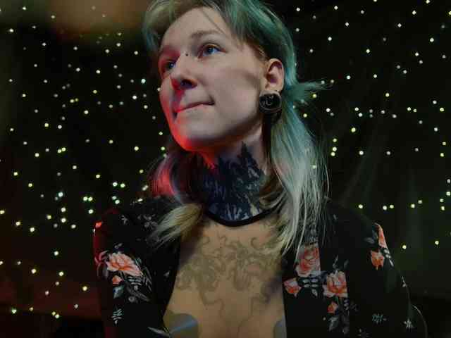 LittleSpaceMouse- webcam