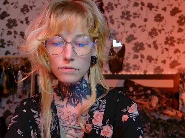 LittleSpaceMouse- webcam