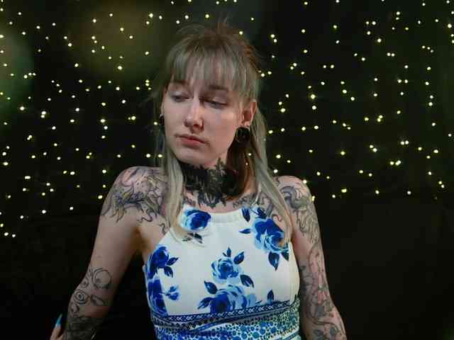 LittleSpaceMouse- webcam