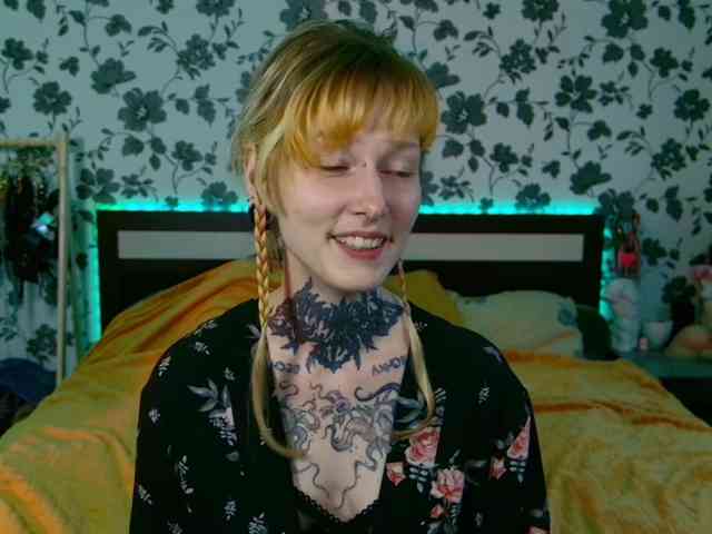LittleSpaceMouse- webcam