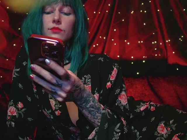 LittleSpaceMouse- webcam