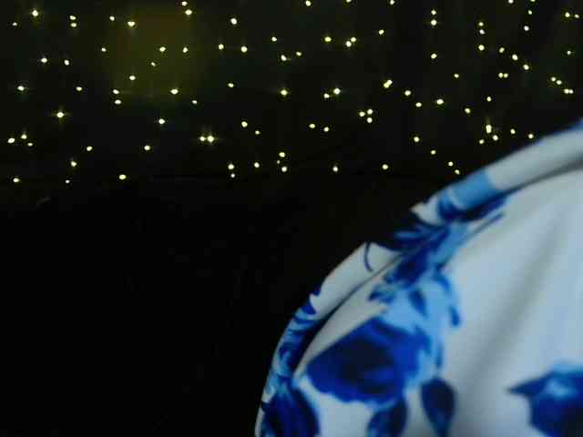 LittleSpaceMouse- webcam