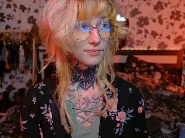 LittleSpaceMouse- webcam