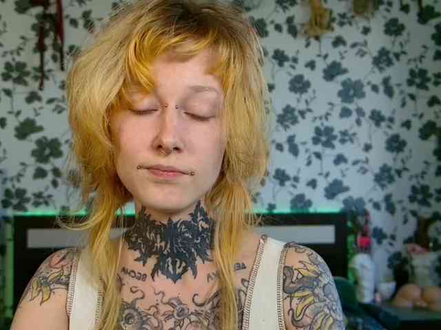 LittleSpaceMouse- webcam