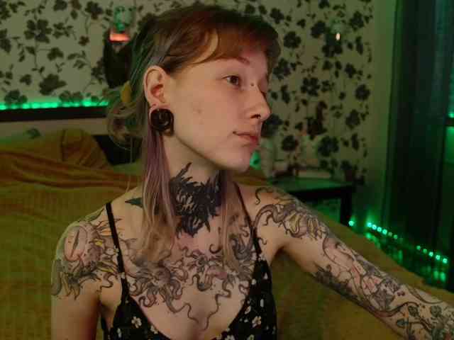 LittleSpaceMouse- webcam