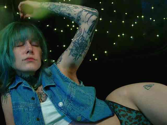 LittleSpaceMouse- webcam